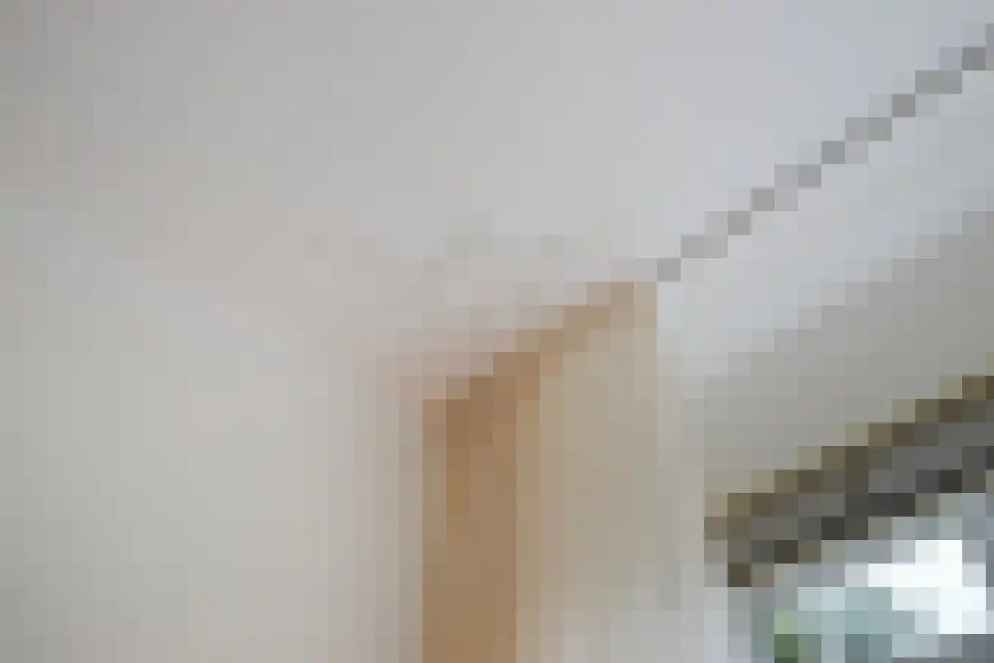 Zwartelaan 47 Voorburg thumbnail 12