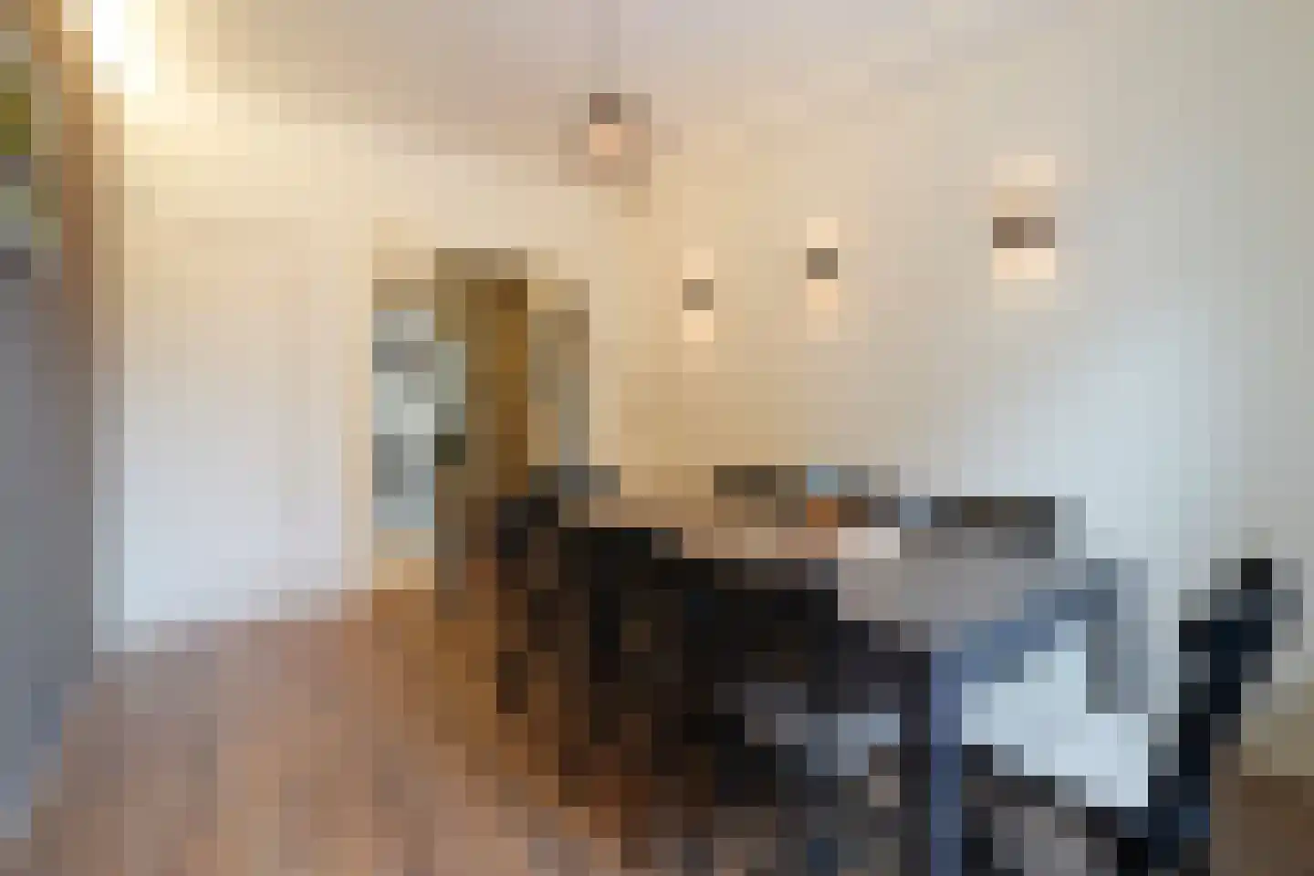 Zwartelaan 47 Voorburg thumbnail 17