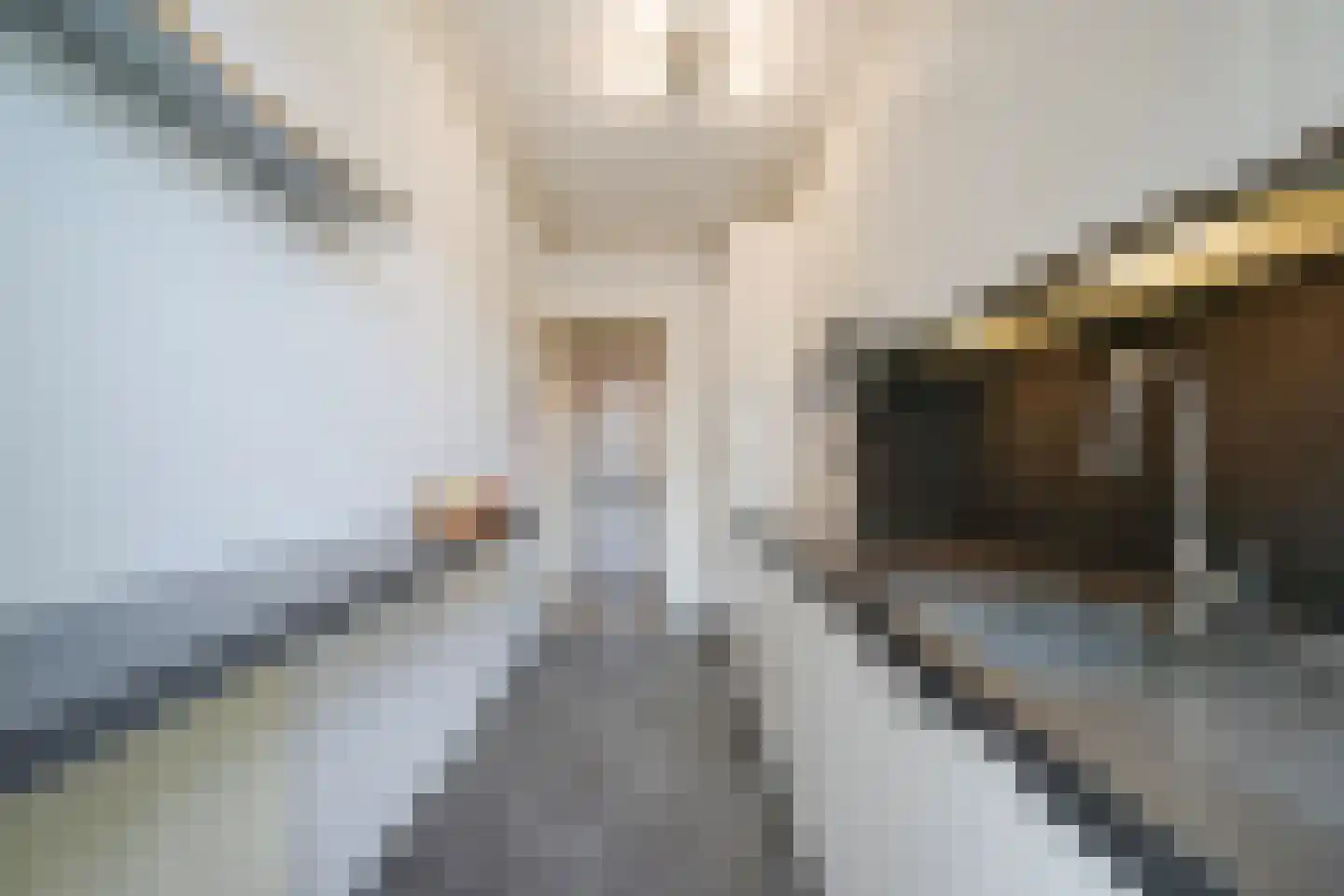 Zwartelaan 47 Voorburg thumbnail 19