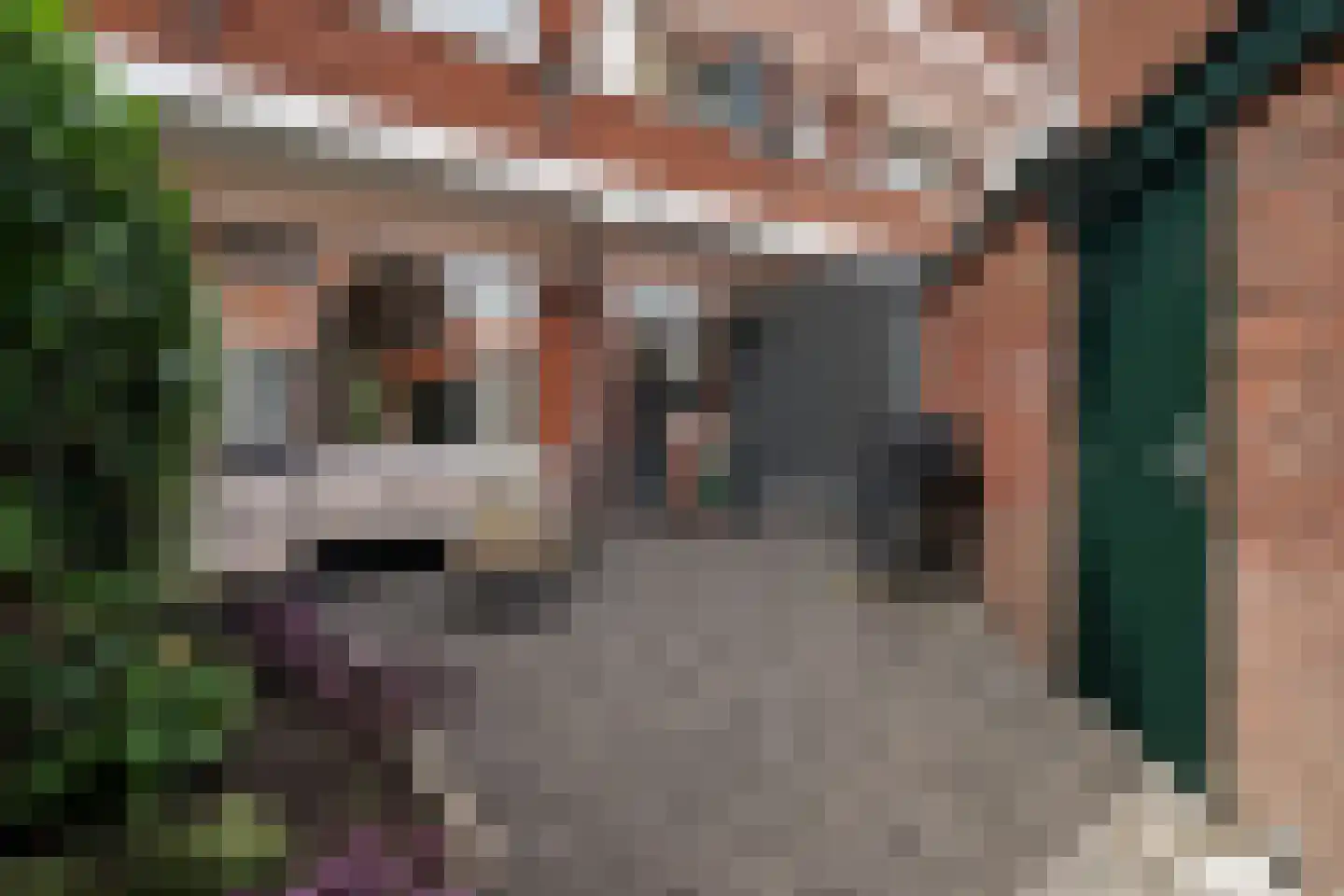 Zwartelaan 47 Voorburg thumbnail 22