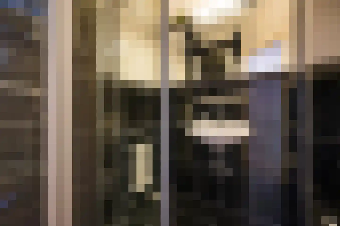 Zwartelaan 47 Voorburg thumbnail 32