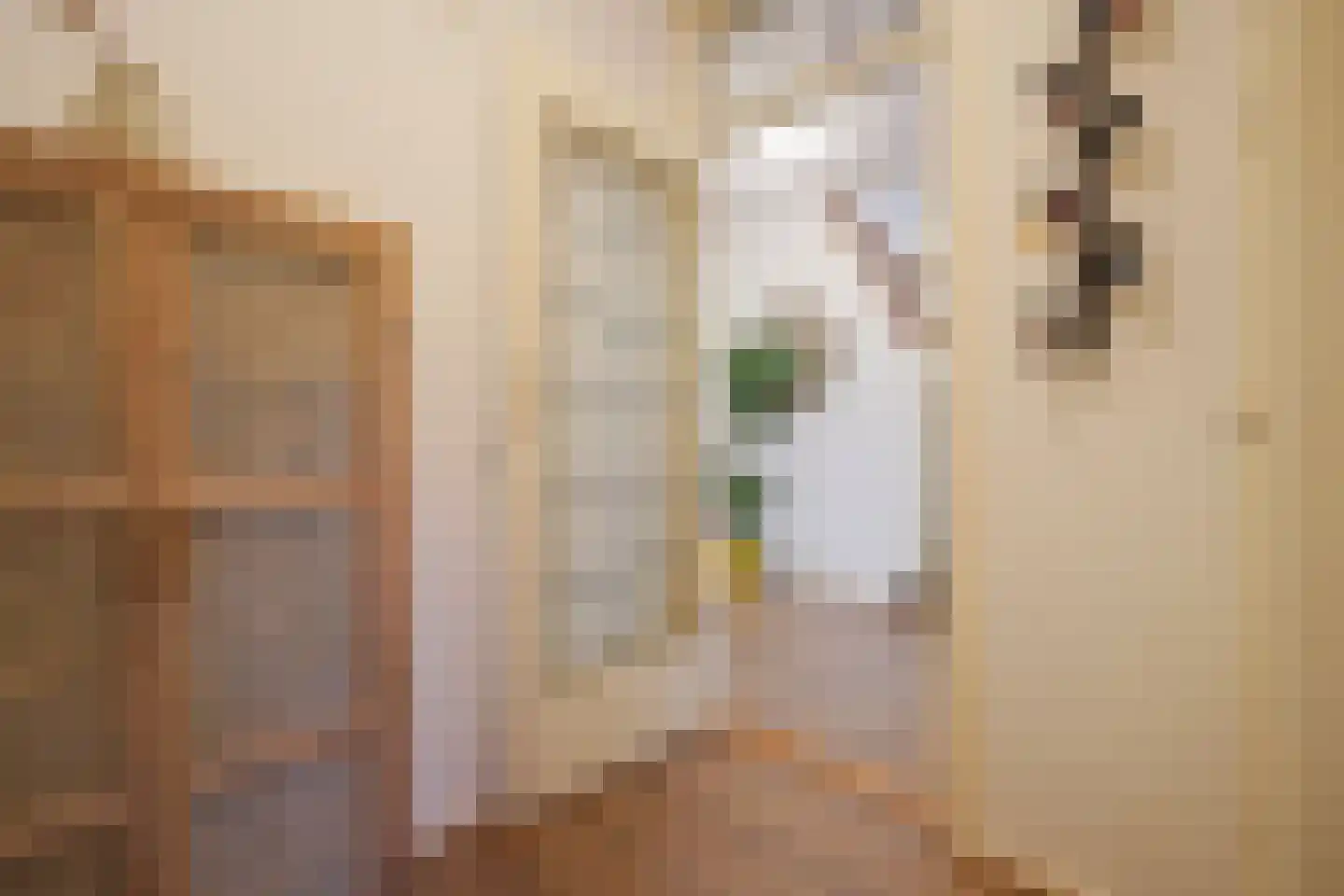 Zwartelaan 47 Voorburg thumbnail 37