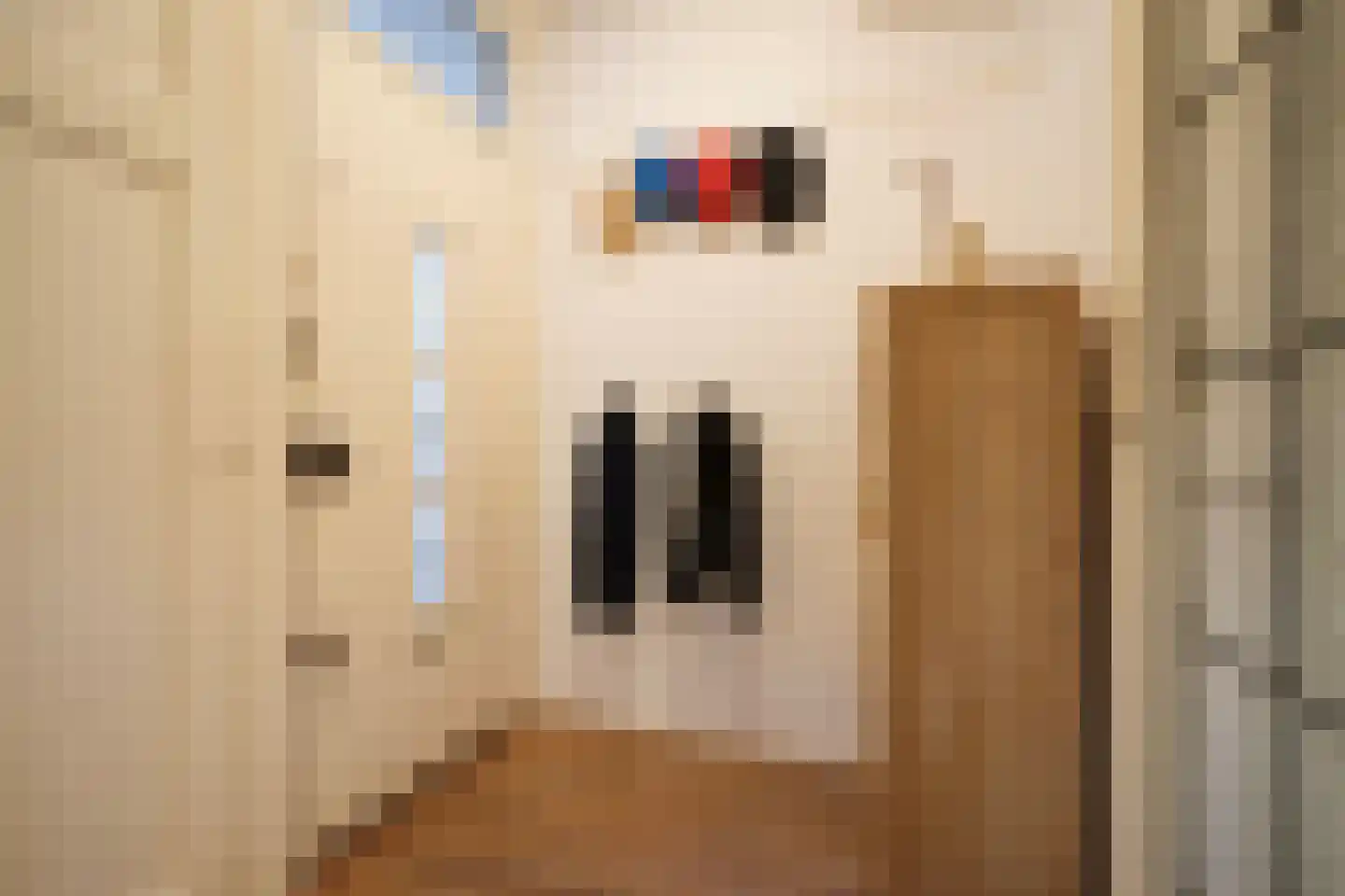 Zwartelaan 47 Voorburg thumbnail 38
