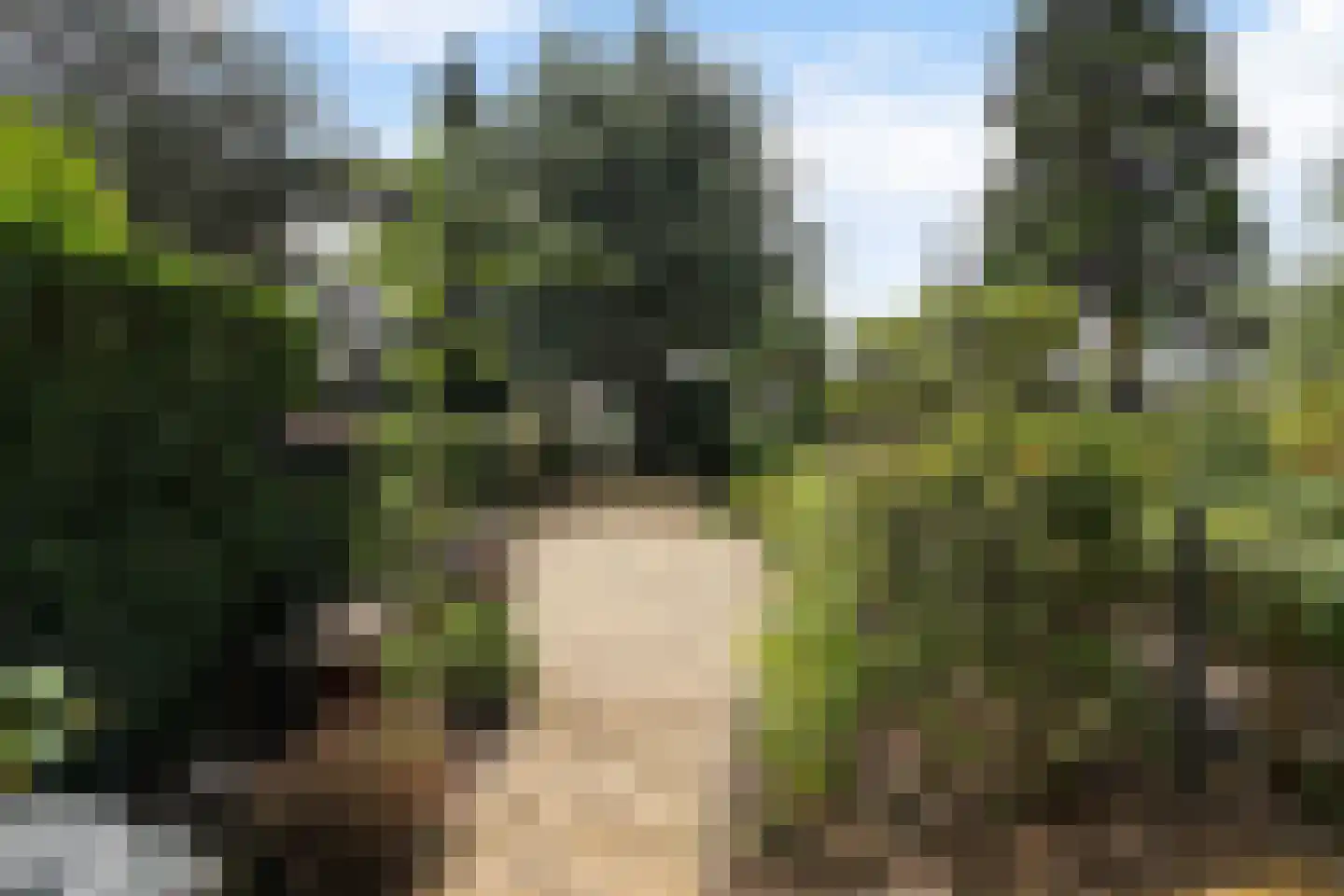 Zwartelaan 47 Voorburg thumbnail 4