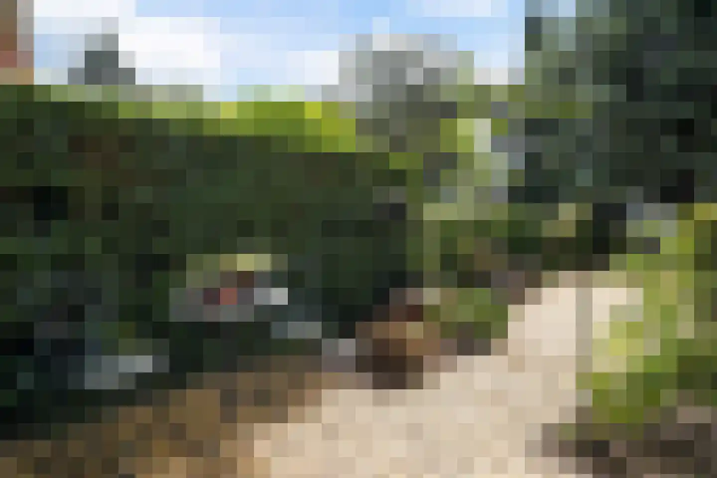 Zwartelaan 47 Voorburg thumbnail 42