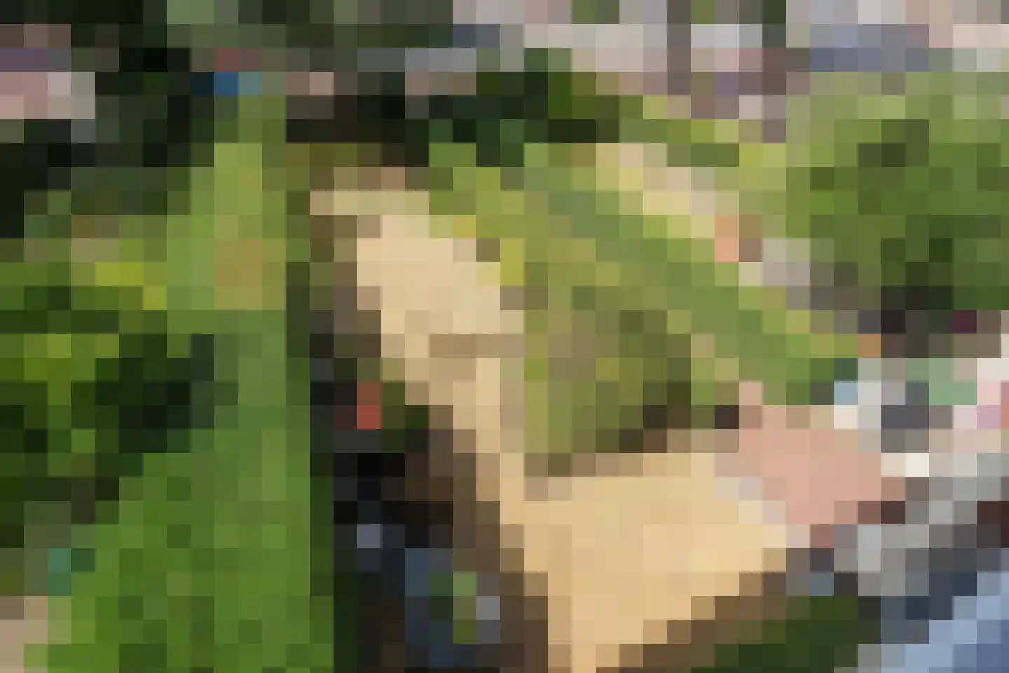 Zwartelaan 47 Voorburg thumbnail 45
