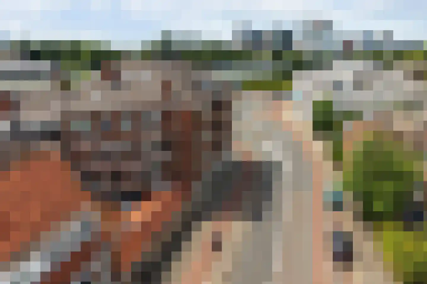 Zwartelaan 47 Voorburg thumbnail 49