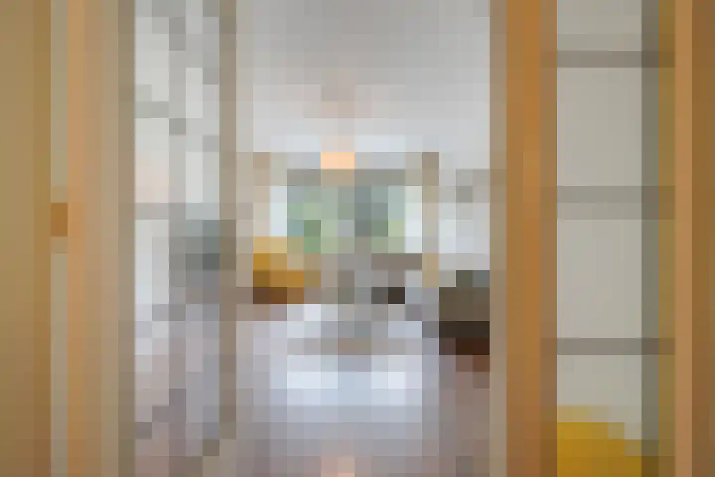 Zwartelaan 47 Voorburg thumbnail 5
