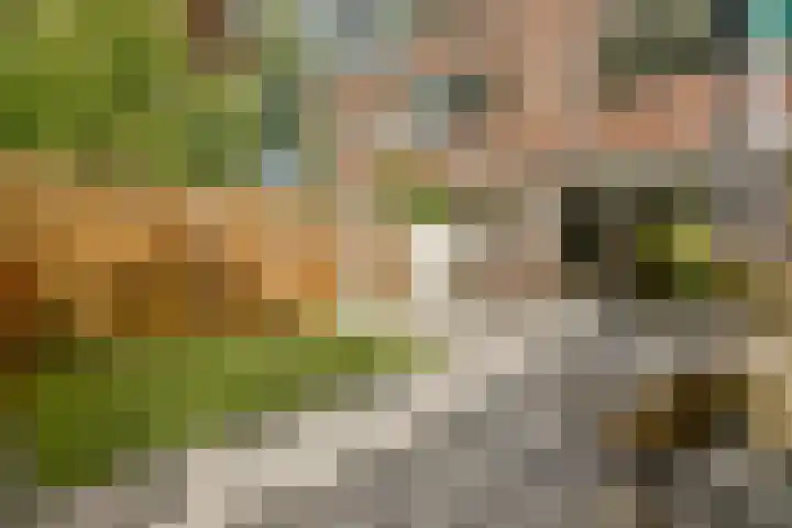 Zwartemeer 2 Zaandam thumbnail 17