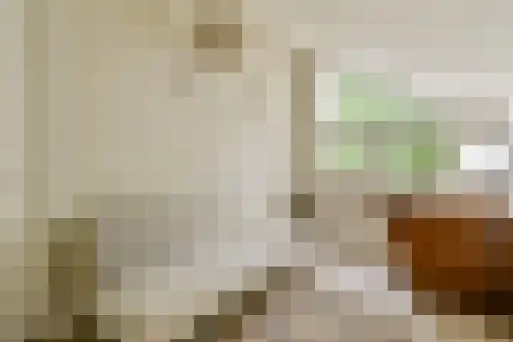 Zwartemeer 2 Zaandam thumbnail 29