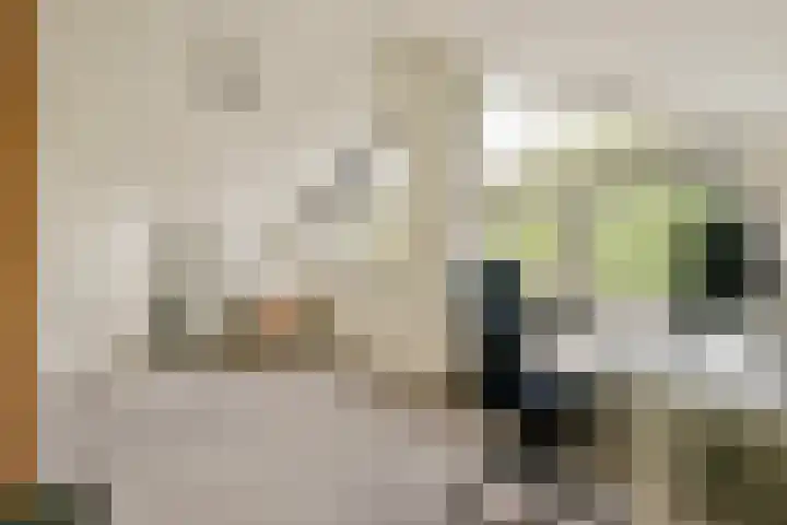 Zwartemeer 2 Zaandam thumbnail 31