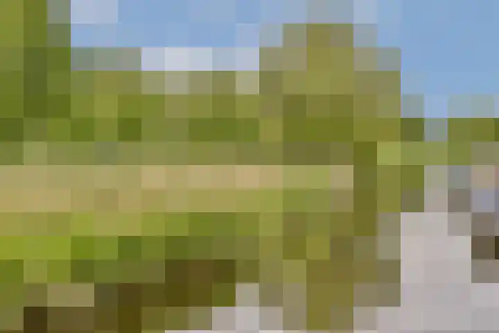 Zwartemeer 2 Zaandam thumbnail 35