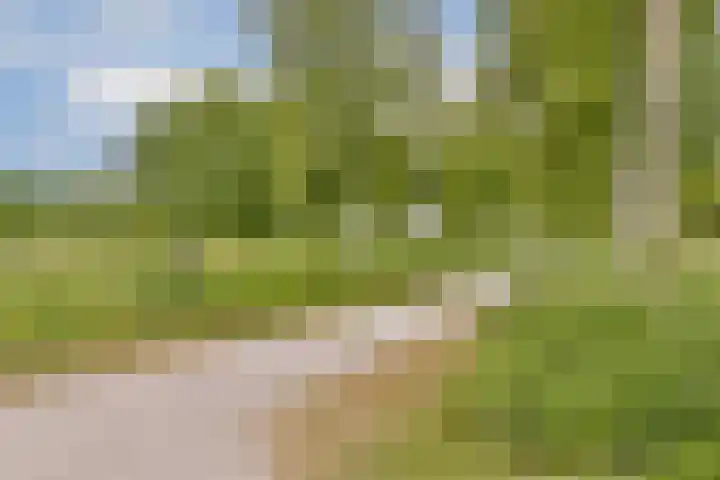 Zwartemeer 2 Zaandam thumbnail 36