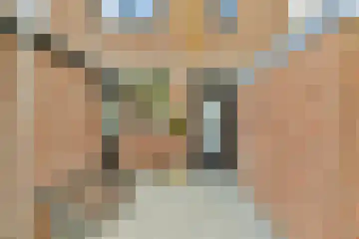 Zwartemeer 2 Zaandam thumbnail 6