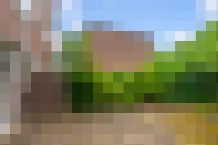 Zwartemeer 4 Zaandam thumbnail 39