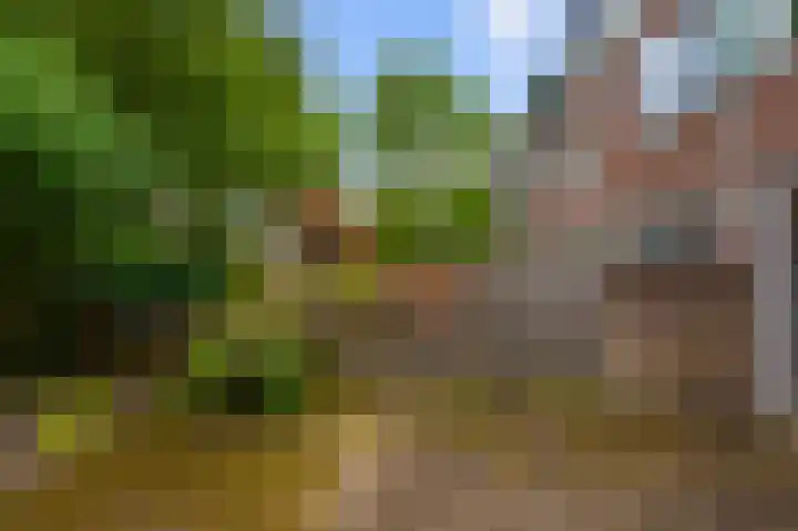 Zwartemeer 4 Zaandam thumbnail 40