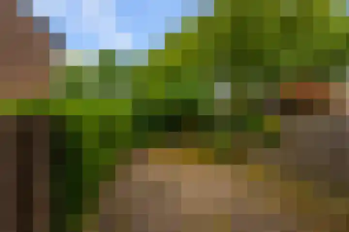 Zwartemeer 4 Zaandam thumbnail 6