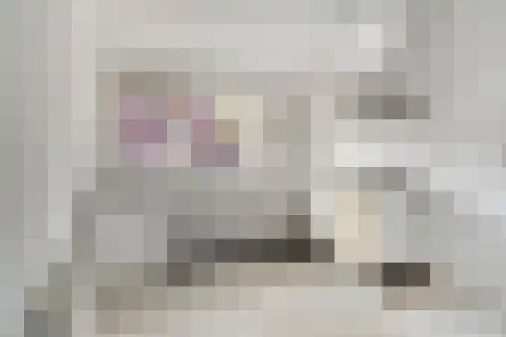 Zwartemeer 40 Barendrecht thumbnail 8