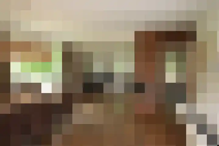 Zwartemeerweg 12 Ens thumbnail 12