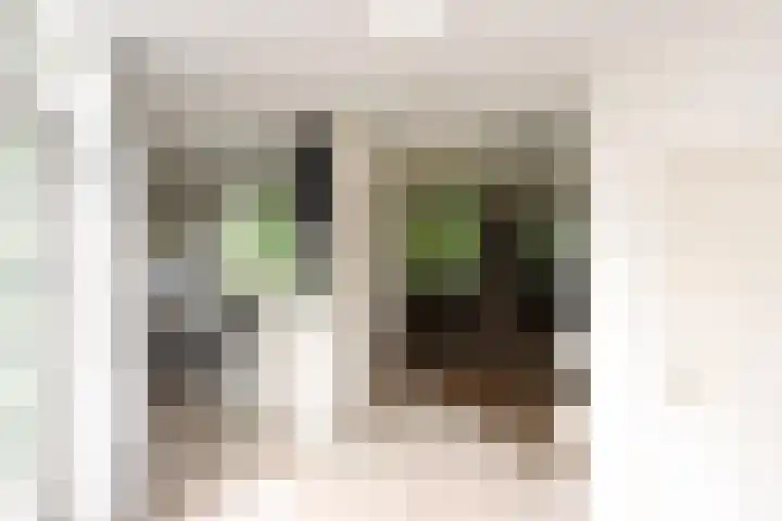 Zwartemeerweg 12 Ens thumbnail 16