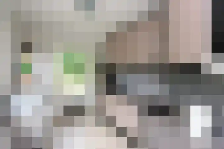 Zwartemeerweg 12 Ens thumbnail 18