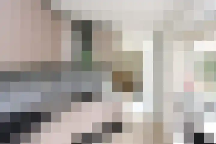 Zwartemeerweg 12 Ens thumbnail 19