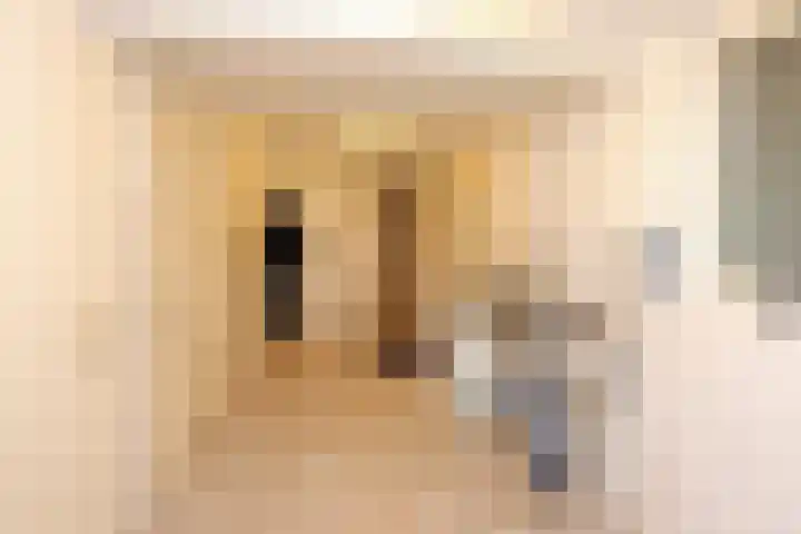 Zwartemeerweg 12 Ens thumbnail 20