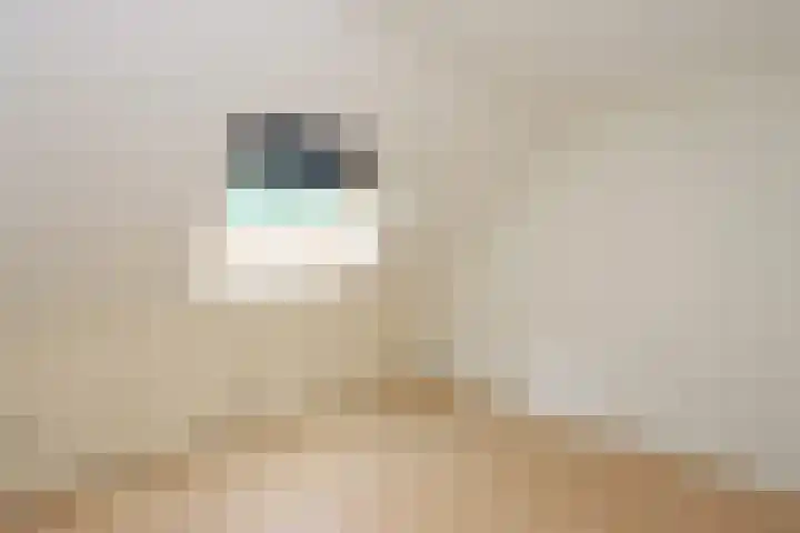 Zwartemeerweg 12 Ens thumbnail 36