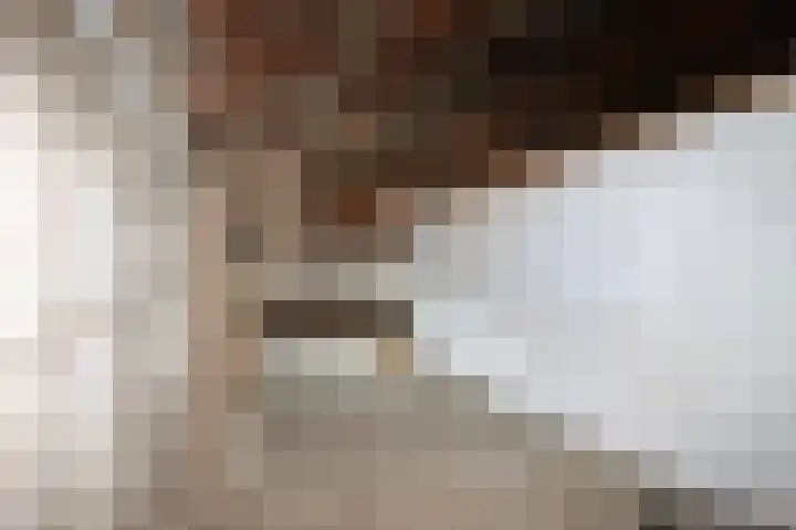 Zwartemeerweg 12 Ens thumbnail 43