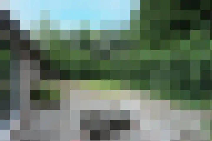 Zwartemeerweg 12 Ens thumbnail 49