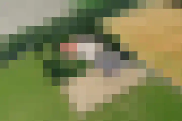 Zwartemeerweg 12 Ens thumbnail 5
