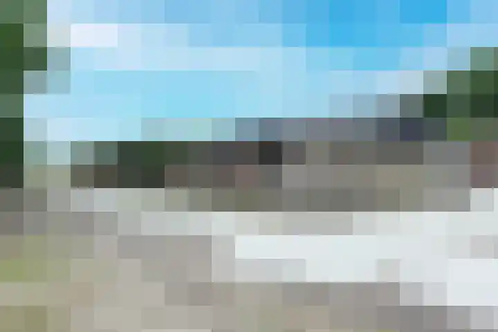 Zwartemeerweg 12 Ens thumbnail 56