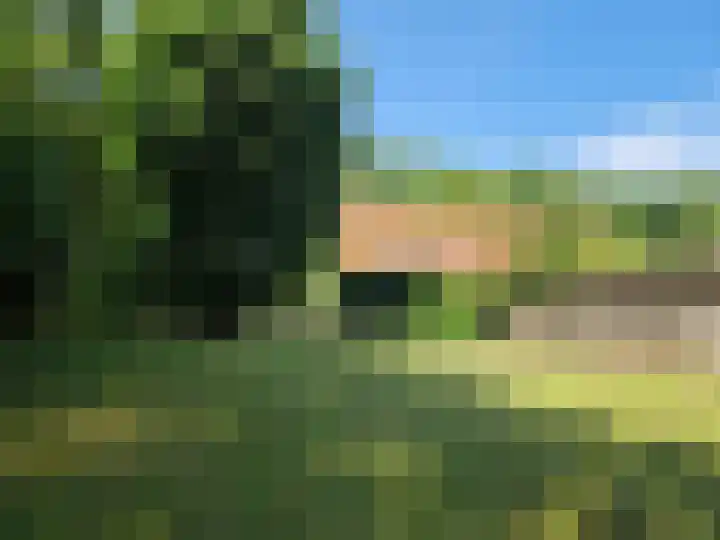 Zwartemeerweg 12 Ens thumbnail 62