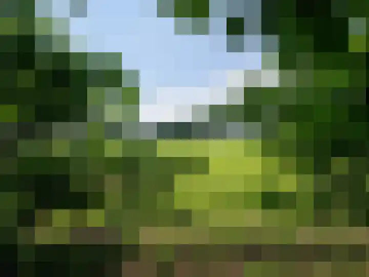Zwartemeerweg 12 Ens thumbnail 65