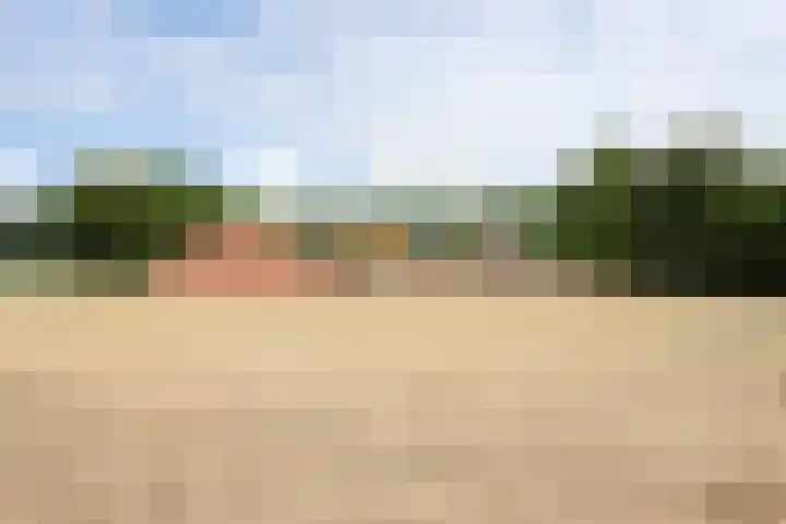 Zwartemeerweg 12 Ens thumbnail 66