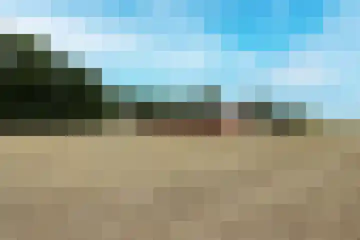 Zwartemeerweg 12 Ens thumbnail 67