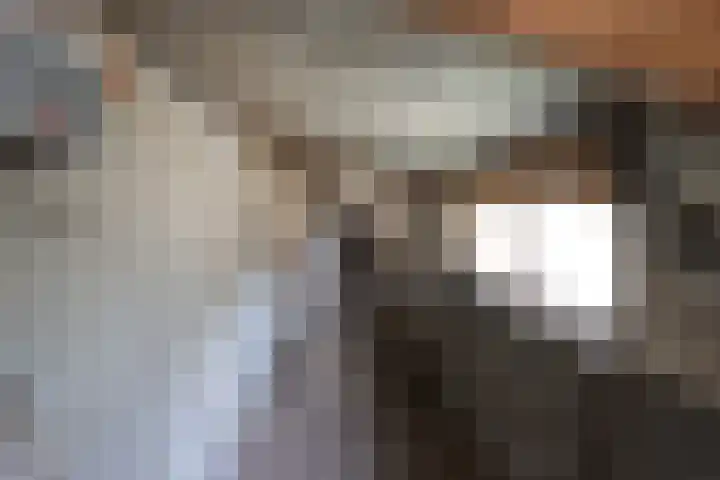 Zwartemeerweg 12 Ens thumbnail 68