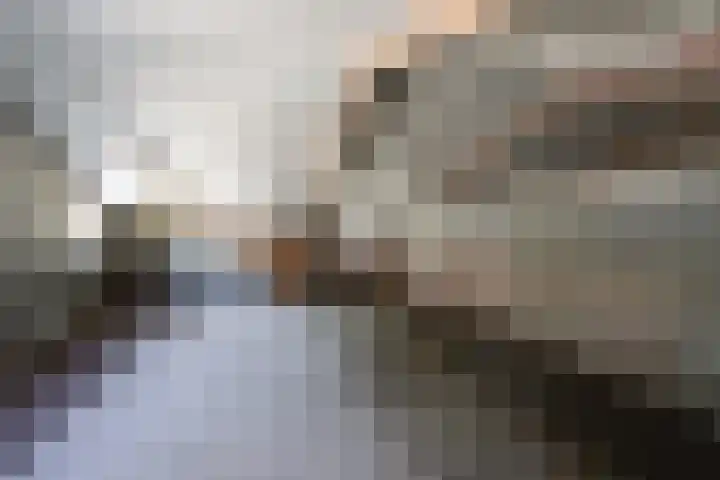 Zwartemeerweg 12 Ens thumbnail 69