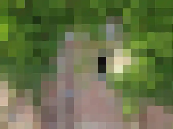 Zwartemeerweg 12 Ens thumbnail 72