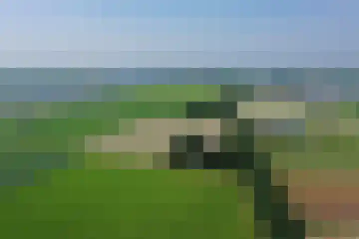 Zwartemeerweg 12 Ens thumbnail 73