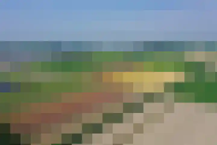 Zwartemeerweg 12 Ens thumbnail 74