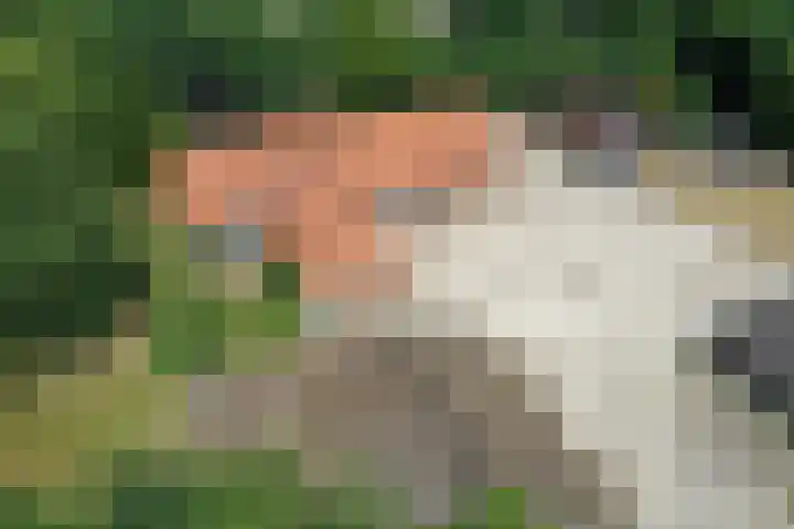 Zwartemeerweg 12 Ens thumbnail 8