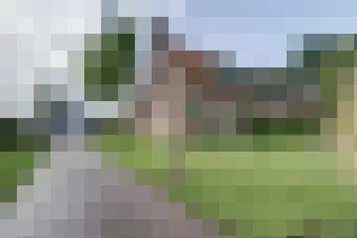 Zwartemeerweg 20 D in Ens