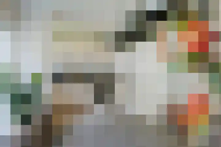 Zwartemeerweg 20 D Ens thumbnail 10