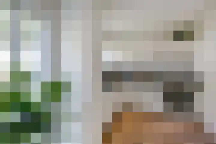 Zwartemeerweg 20 D Ens thumbnail 11