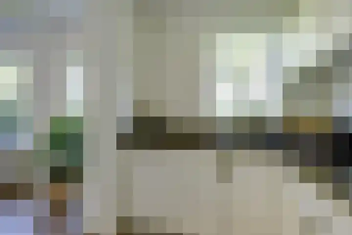 Zwartemeerweg 20 D Ens thumbnail 13