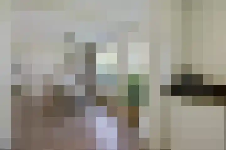 Zwartemeerweg 20 D Ens thumbnail 14