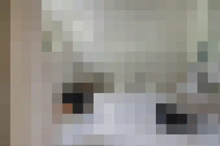 Zwartemeerweg 20 D Ens thumbnail 23