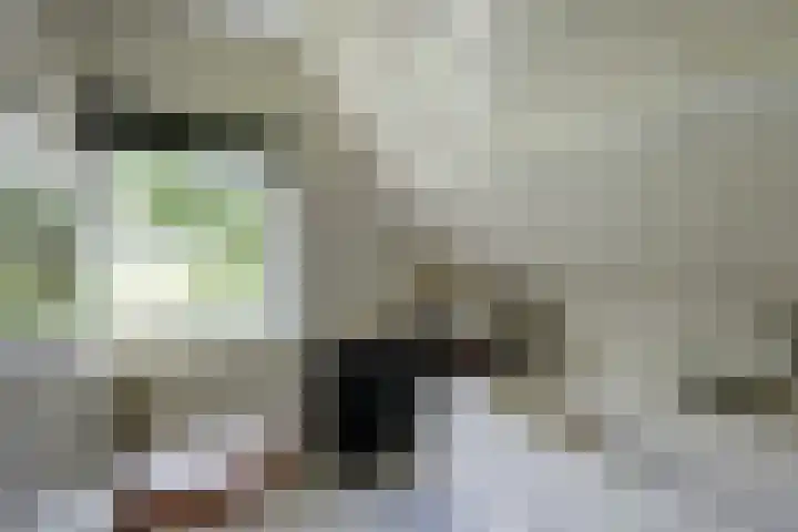 Zwartemeerweg 20 D Ens thumbnail 24