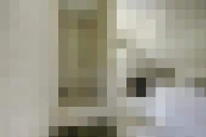Zwartemeerweg 20 D Ens thumbnail 25